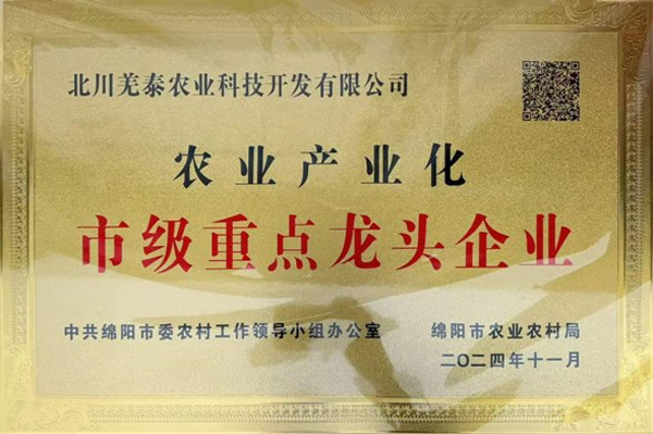 2024年市级重点龙头企业